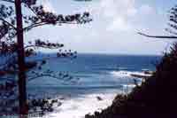 Norfolk Island coastline