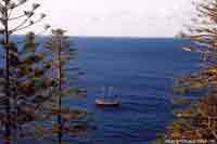 Norfolk Island coastline